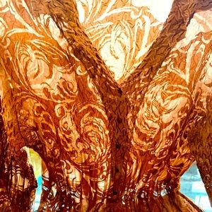 ✨ Komarov✨ Tan-Bronze Ombre V-Neck Blouse W/Double Layered Bell Sleeves